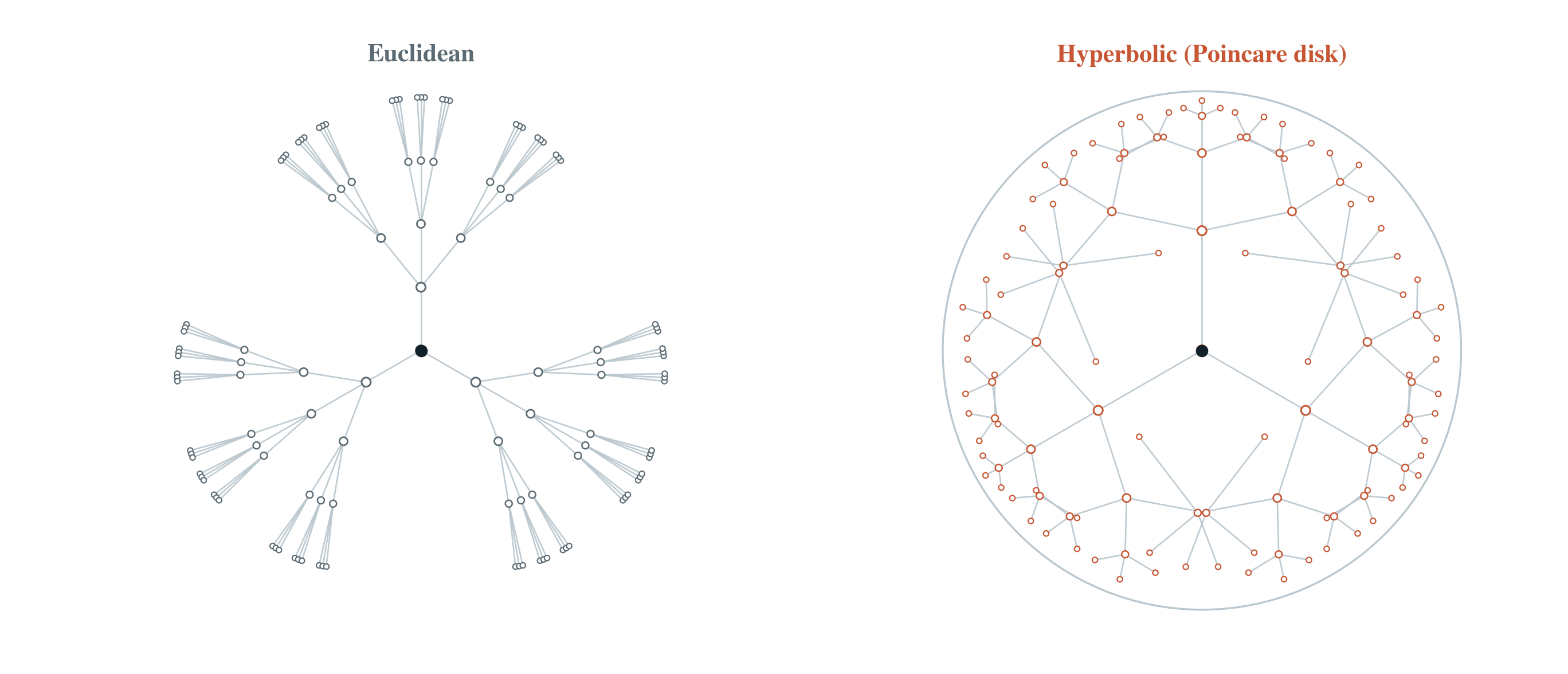 Crowding in Euclidean versus hyperbolic space